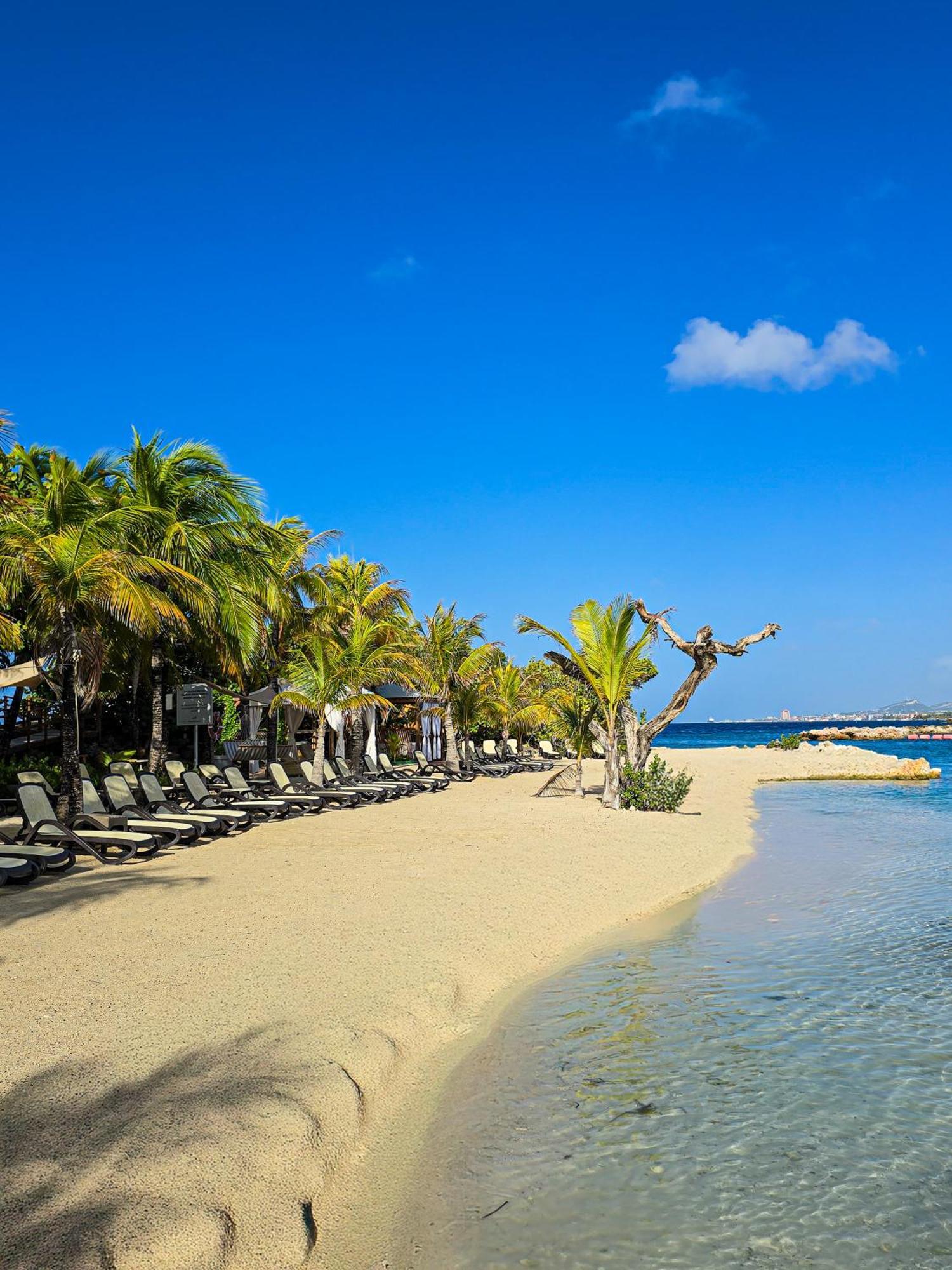The Royal Sea Aquarium Resort Willemstad Extérieur photo